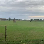 Séjour à la ferme Fattoria Amelia Santa Caterina (Emilia-Romagna)