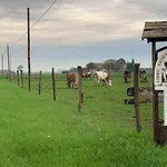 Fattoria Amelia Santa Caterina (Emilia-Romagna)