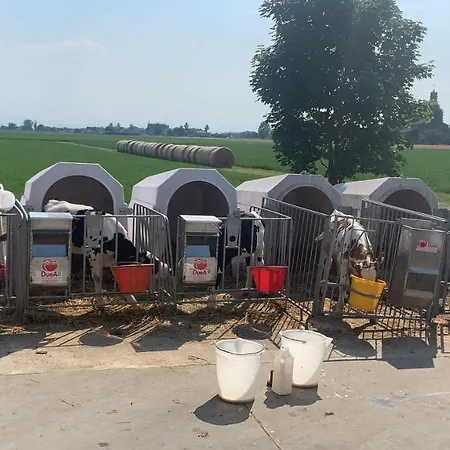 Fattoria Amelia Santa Caterina