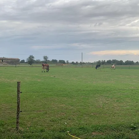 ファームステイ Fattoria Amelia Santa Caterina