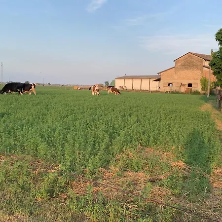 Fattoria Amelia ファームステイ