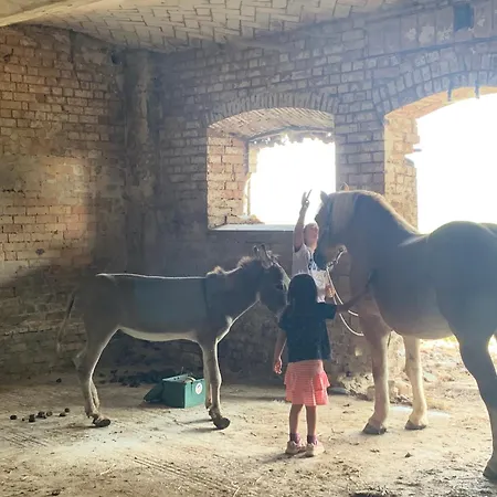 Fattoria Amelia Bauernhof *