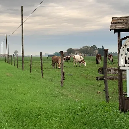 Fattoria Amelia Santa Caterina (Emilia-Romagna)