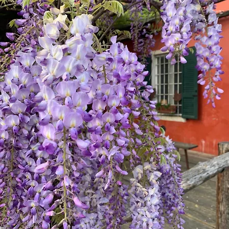 Bauernhof Fattoria Amelia Santa Caterina (Emilia-Romagna)