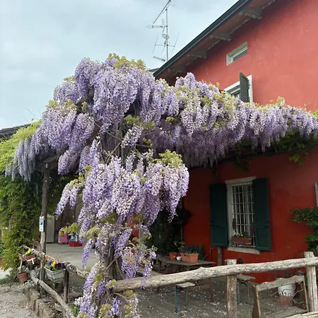 Fattoria Amelia