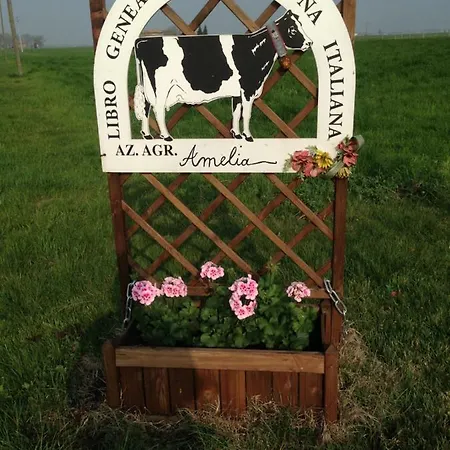 Fattoria Amelia Farm stay