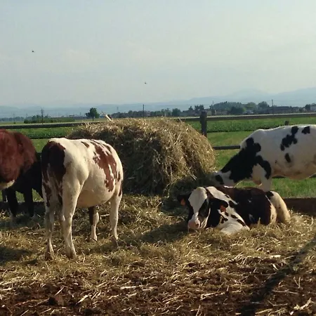 Fattoria Amelia ファームステイ