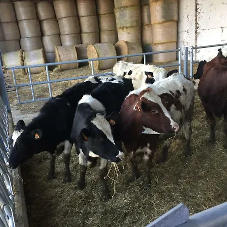 Fattoria Amelia Santa Caterina