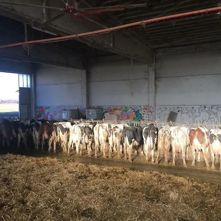 Farm stay Fattoria Amelia Santa Caterina (Emilia-Romagna)