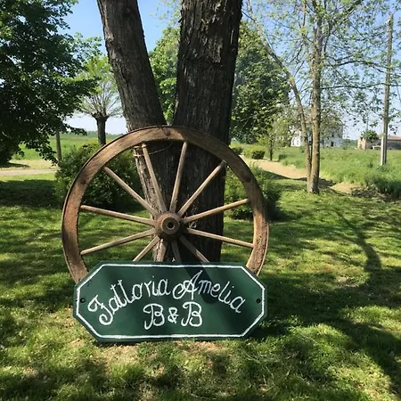 Fattoria Amelia Santa Caterina