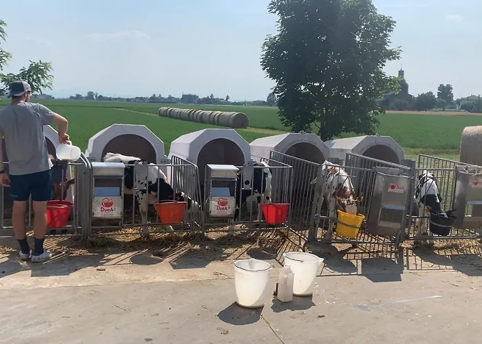 Fattoria Amelia Santa Caterina (Emilia-Romagna)