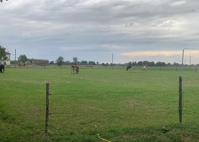 Çiftlik konaklama Fattoria Amelia Santa Caterina (Emilia-Romagna)