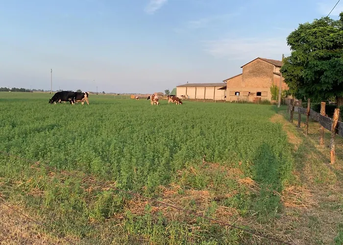 Fattoria Amelia Çiftlik konaklama