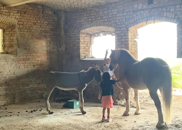 Fattoria Amelia Çiftlik konaklama *