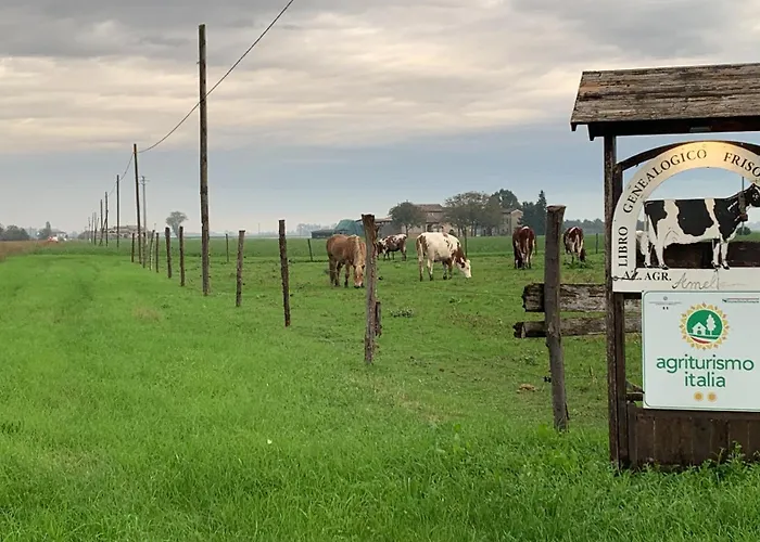 Fattoria Amelia Santa Caterina (Emilia-Romagna)