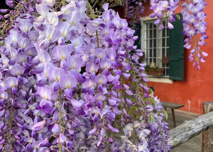 Feriegård Fattoria Amelia Santa Caterina (Emilia-Romagna)