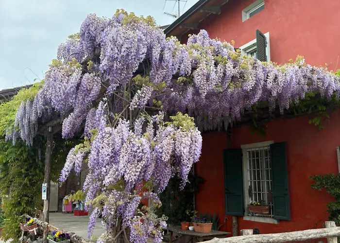 Fattoria Amelia