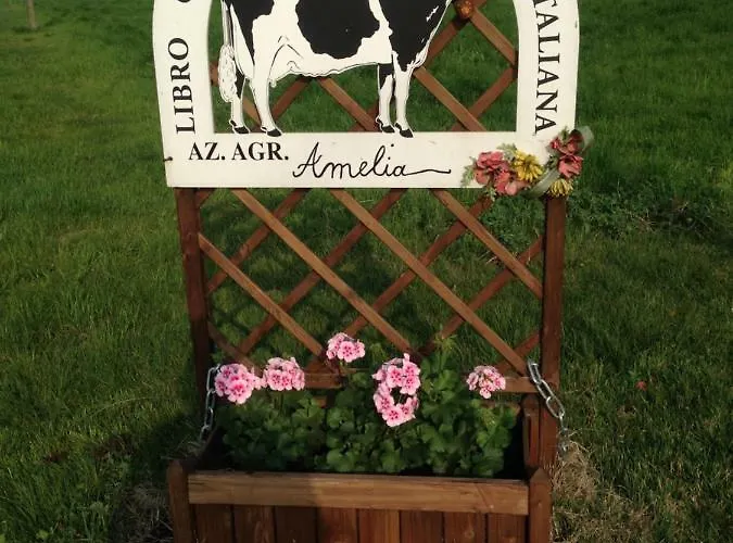 Fattoria Amelia Bauernhof