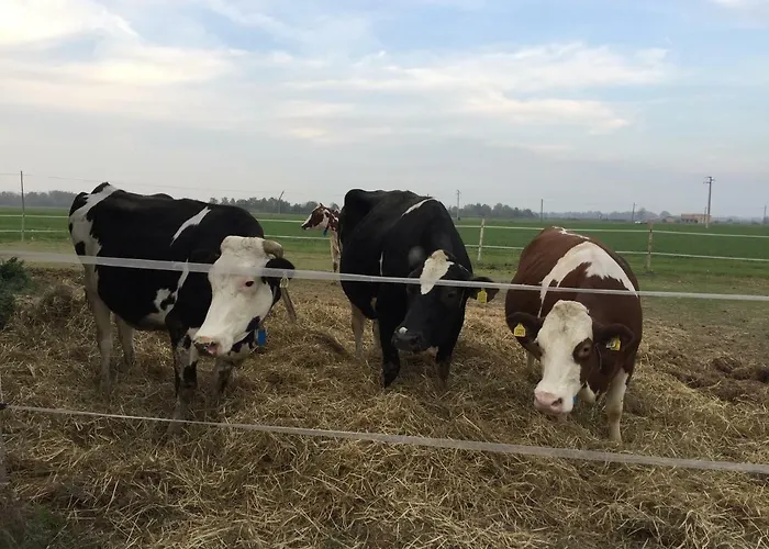 Fattoria Amelia Çiftlik konaklama