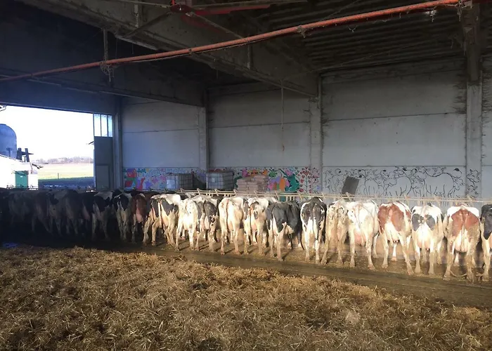 Bauernhof Fattoria Amelia Santa Caterina (Emilia-Romagna)